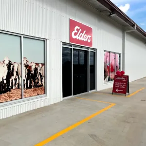 Elders